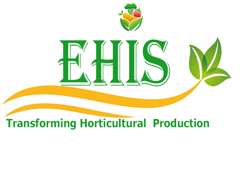 EHIS Logo